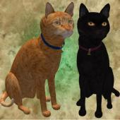Second Life - Pets