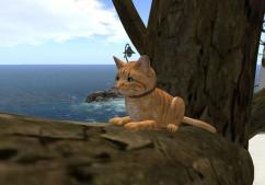 Second Life - Pets, Beach