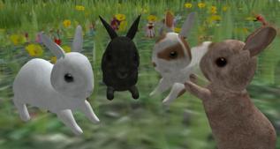 Second Life - Pets