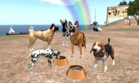 Second Life - Pets, Beach