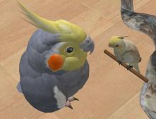 Second Life - Pets