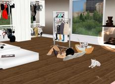 IMVU - Bedroom, Room