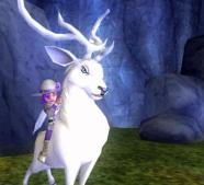 Wizard101 - Mount