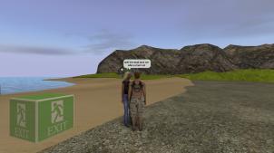 Twinity - Beach