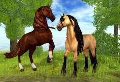 Star Stable - Horse