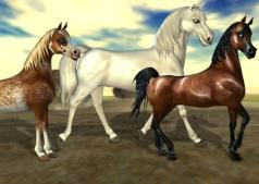 Star Stable - Horse