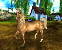 Star Stable - Horse