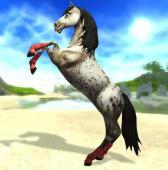 Star Stable - Horse