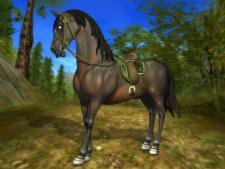 Star Stable - Horse