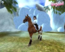 Star Stable - Wallpaper