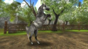 Star Stable - Wallpaper