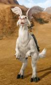 Archeage - Mounts