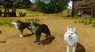 Archeage - Pets