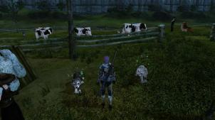 Archeage - Pets