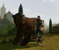 Archeage - Pets